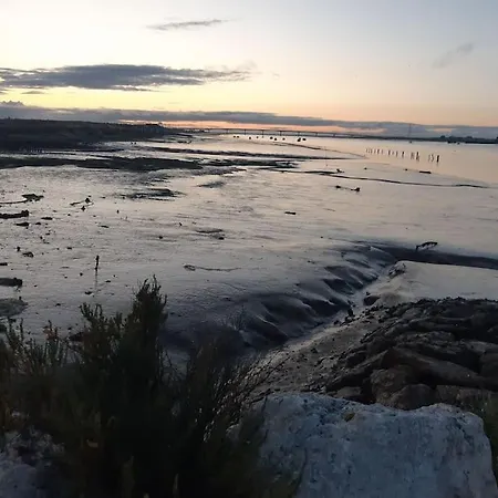 Apartment 2 Pieces 2 Pas Des Plages Saint-Palais-sur-Mer