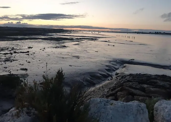 公寓 2 Pieces 2 Pas Des Plages 滨海圣帕莱